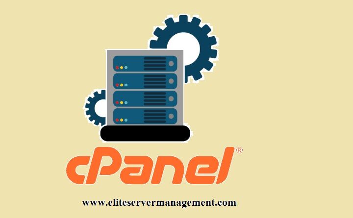 cpanel server support