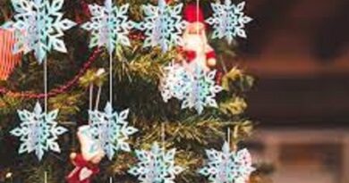 Top privileged insights to improving your Christmas tree like an expert