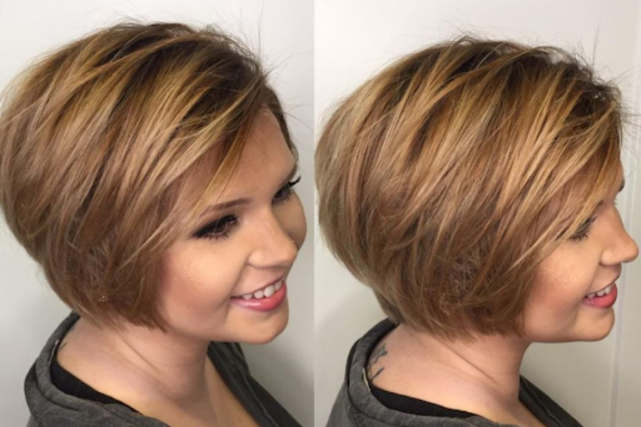 Dark Honey Blonde Pixie Bob