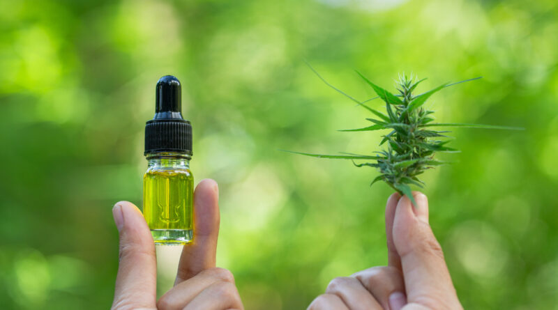 The 10 Best CBD Products Review 2022