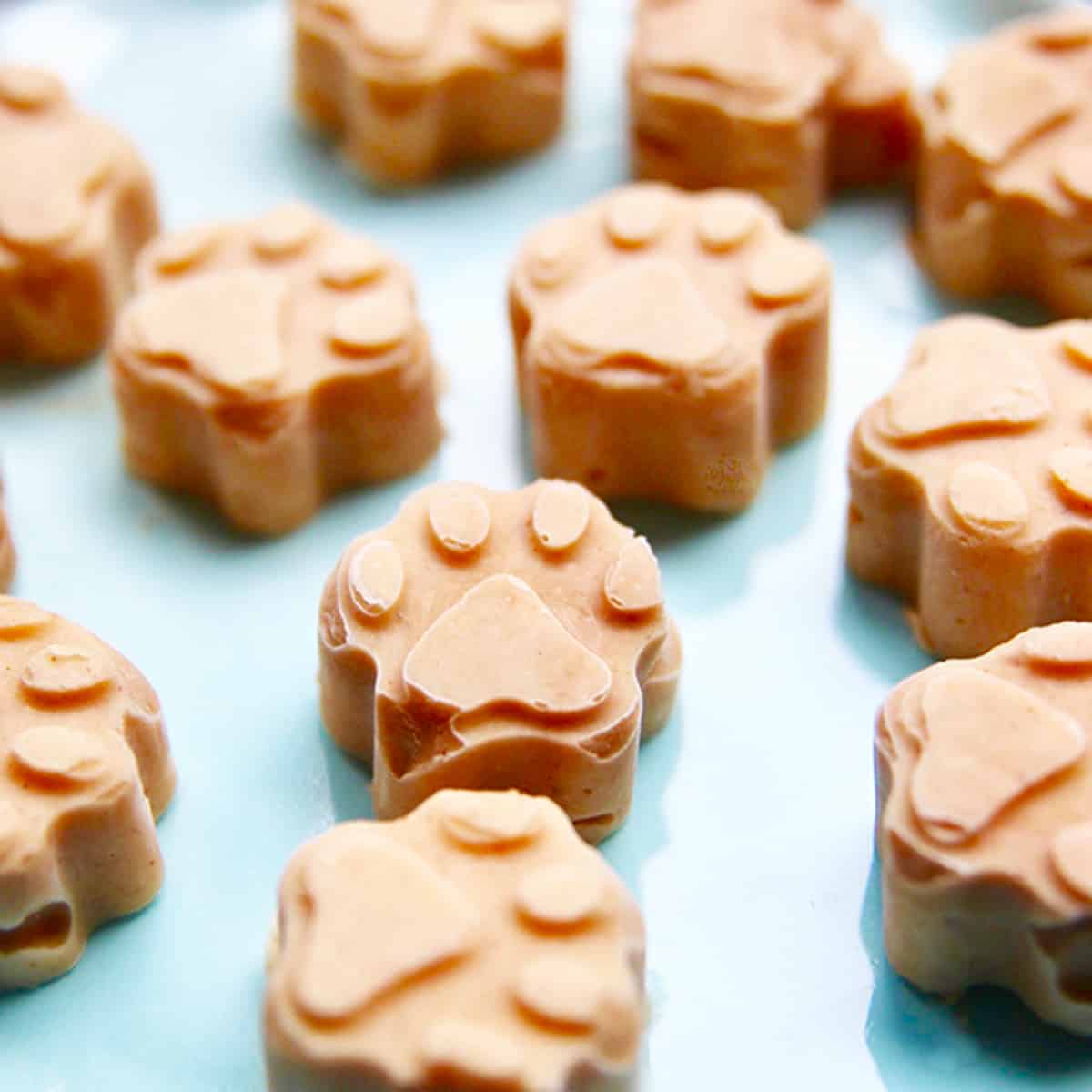 Frosty Paws Dog Treats