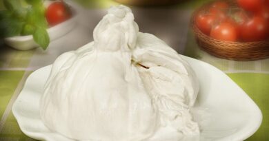 Burrata Cheese