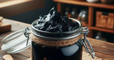 Choosing the Best Shilajit Resin for Your Health